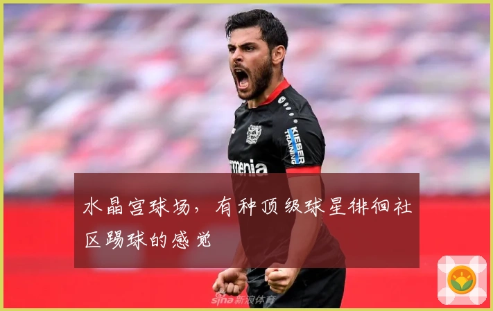 水晶宫球场,有种顶级球星徘徊社区踢球的感觉