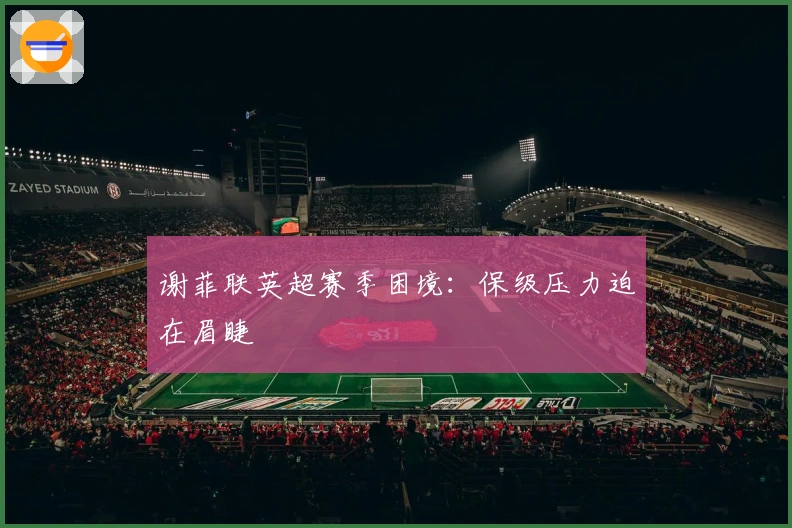 谢菲联英超赛季困境：保级压力迫在眉睫