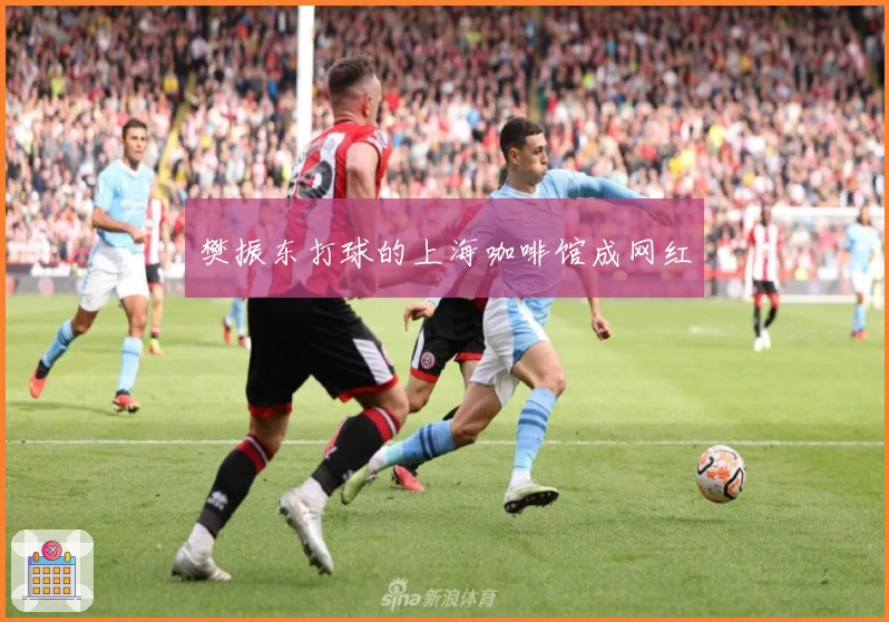 樊振东打球的上海咖啡馆成网红